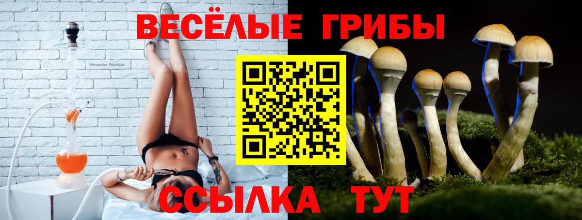 Псилоцибиновые грибы Psilocybine cubensis  Вход с VPN  Лосино-Петровский 