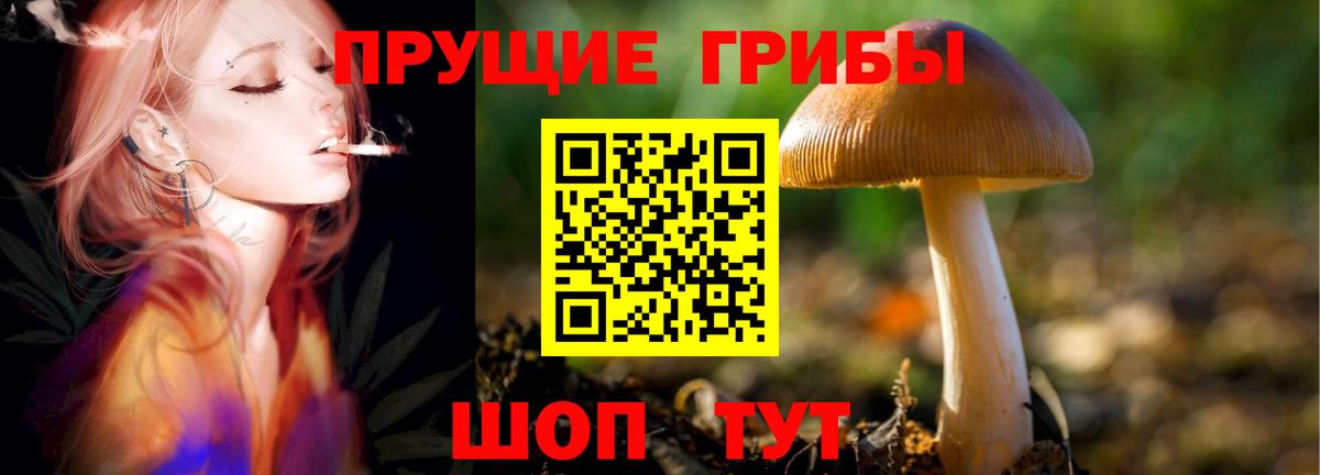 Галлюциногенные грибы ЛСД Лосино-Петровский
